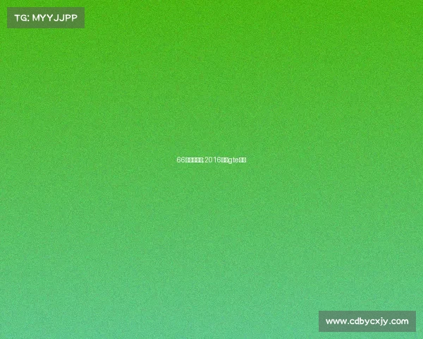 66年勒芒赛事;2016勒芒gte冠军