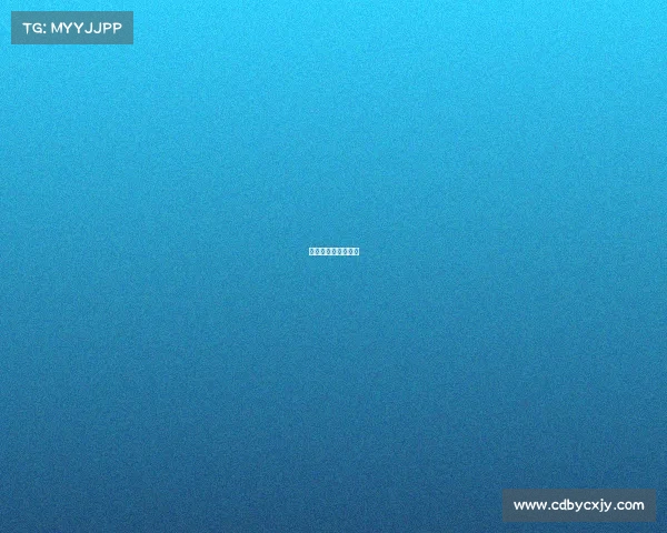 丹麦和法国足球比赛