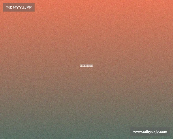 国际羽联公开赛级别